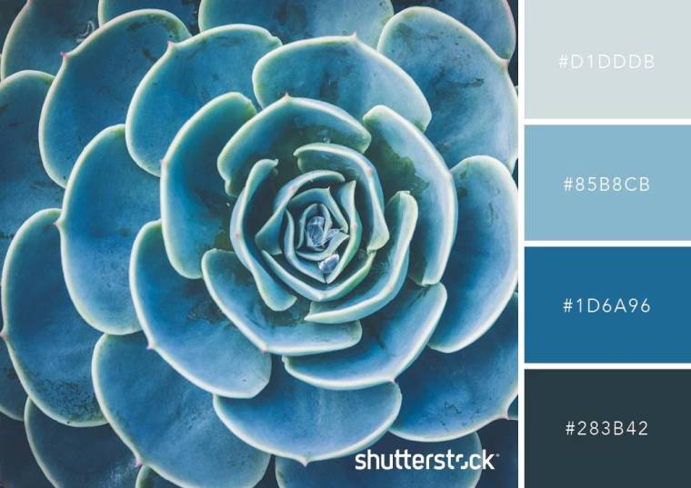 단색 배합 예시