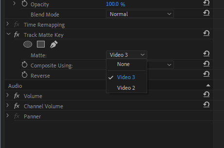 글자가 있는 Video3을 선택